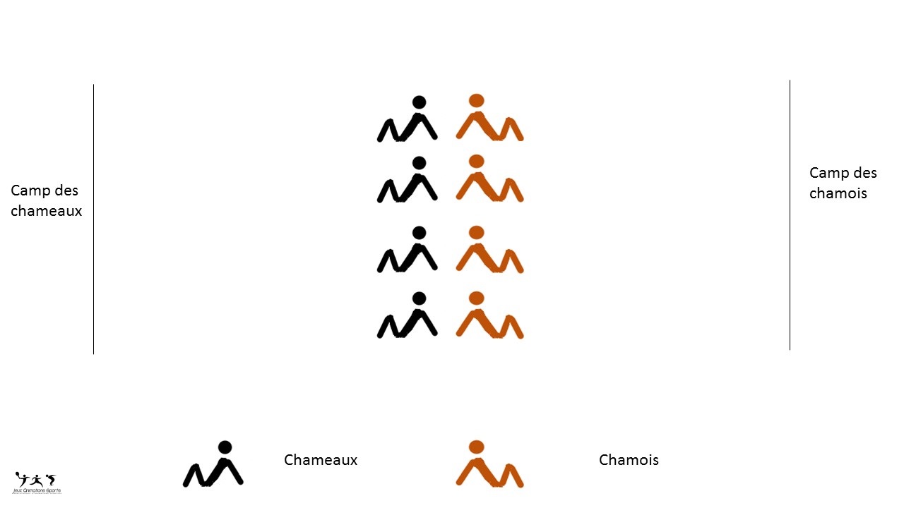 Chameau - Chamois, jeu de réflexe