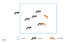 Tortue crocodile - Jeu d'opposition