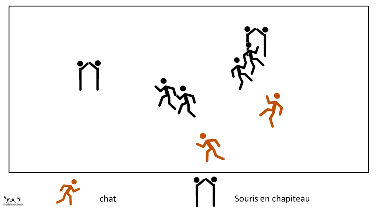 Chat Chapiteau - Coopérer Chat Chapiteau -Coopérer