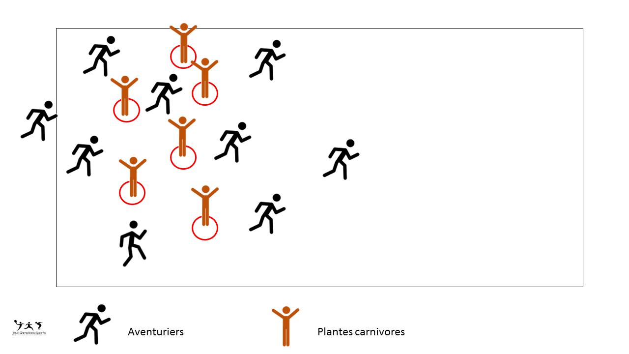 Les aventuriers et les plantes carnivores - Jeu pour les cycles 1 et 2