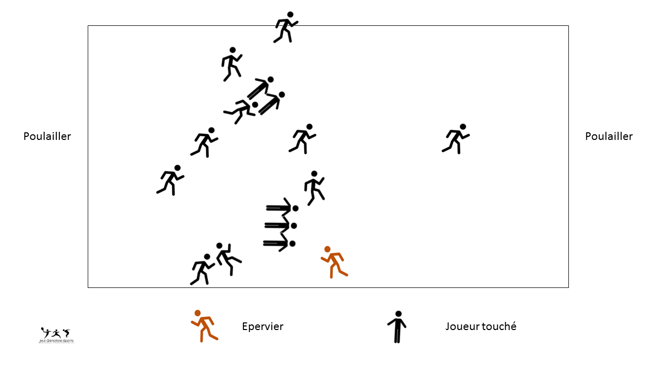 Variante de l'épervier - Version à 1 épervier