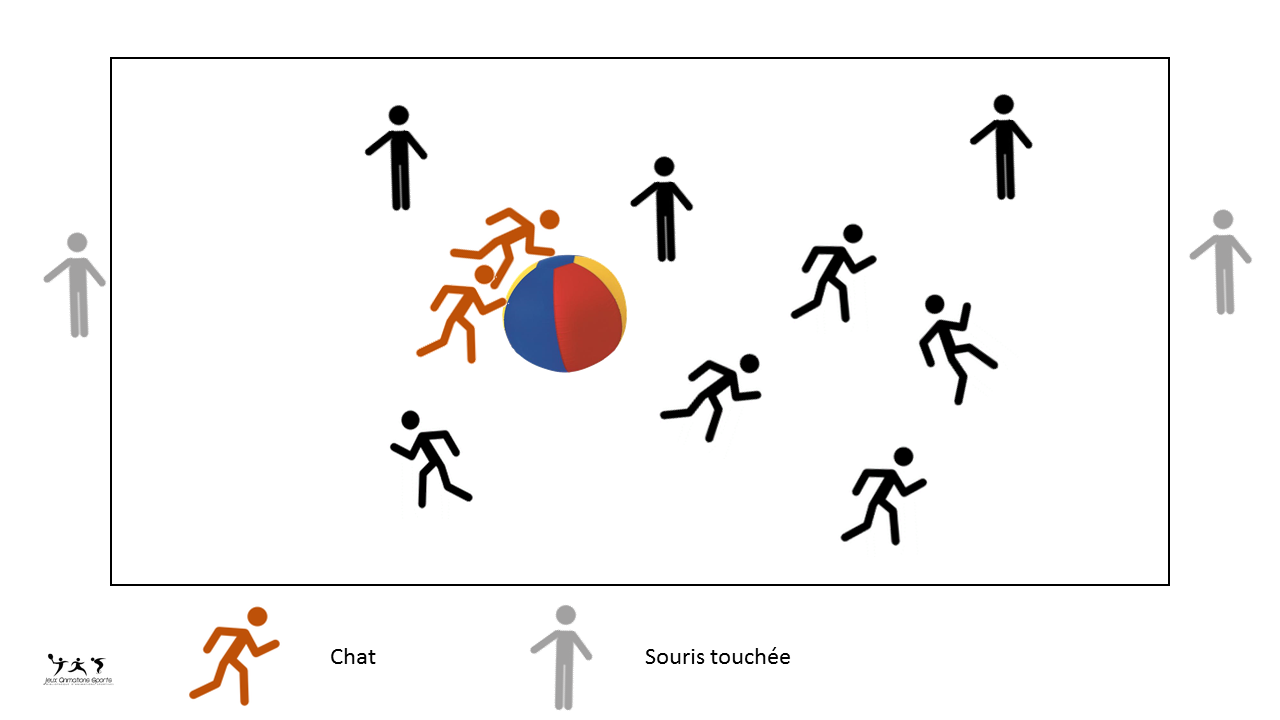 Jeu du chat kin-ball