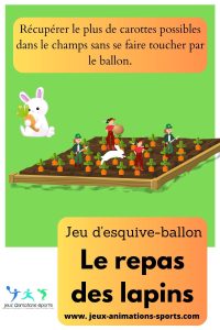 Jeu d'esquive, jeu sportif: le repas des lapins