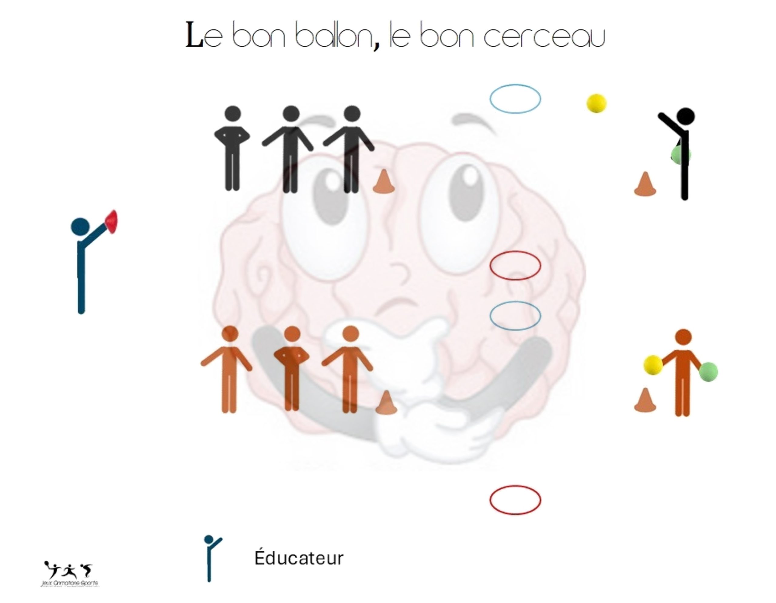 Entraînement cognitif: le bon ballon, le bon cerceau